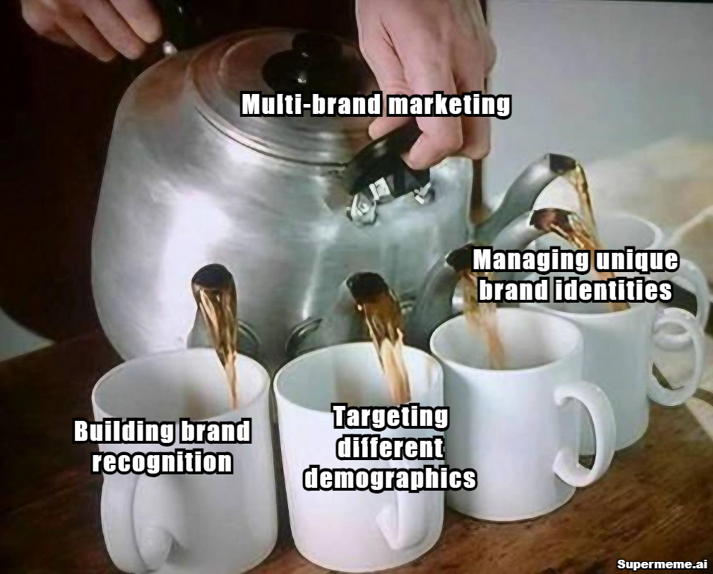 multi branding strategy