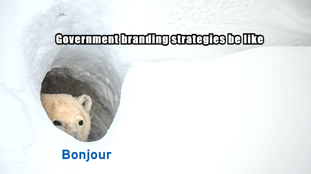 Best Practices in Government Branding 